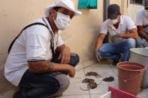 AGENTE DE APOIO DE ZOONOSES